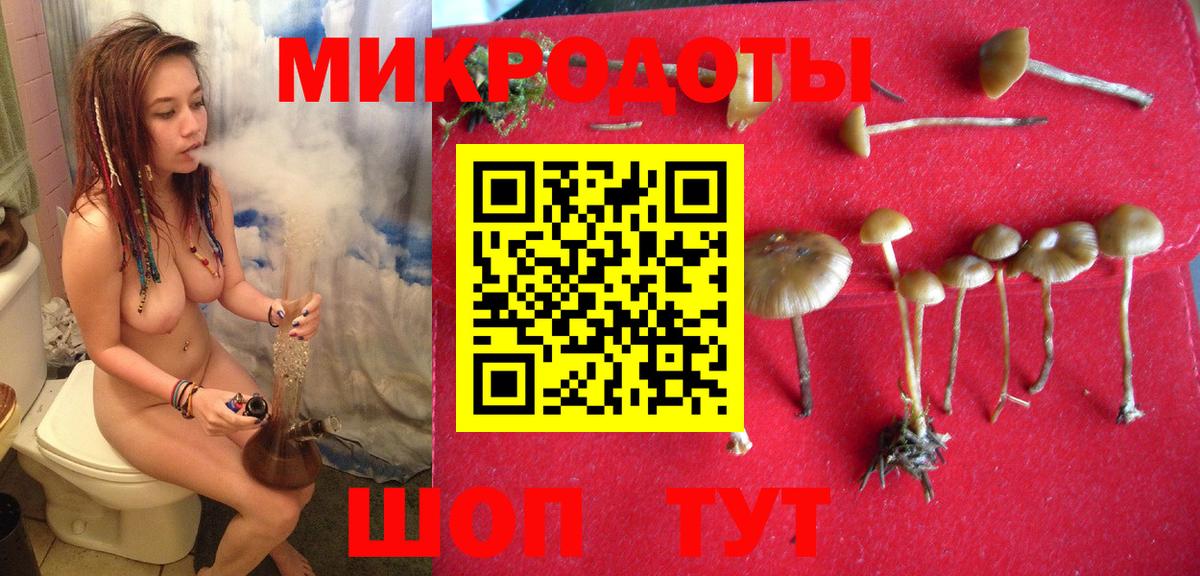 Галлюциногенные грибы Magic Shrooms Лыткарино