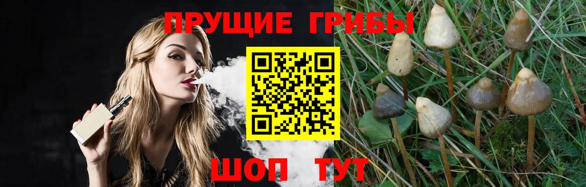 Псилоцибиновые грибы Magic Shrooms  закладки  Вход с VPN  Лыткарино  Галлюциногенные грибы Magic Shrooms 